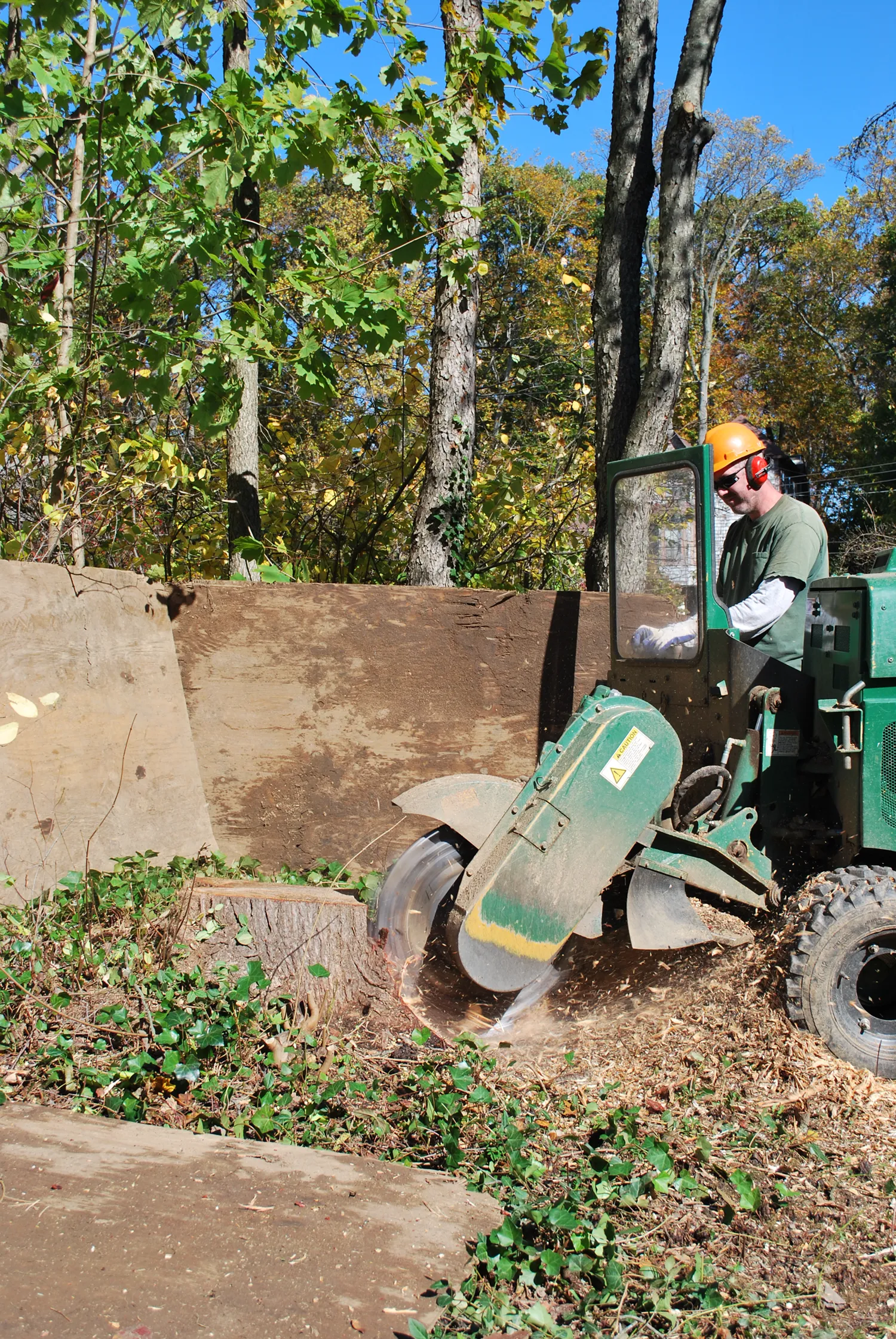 Stump Grinding — John B. Ward & Co.