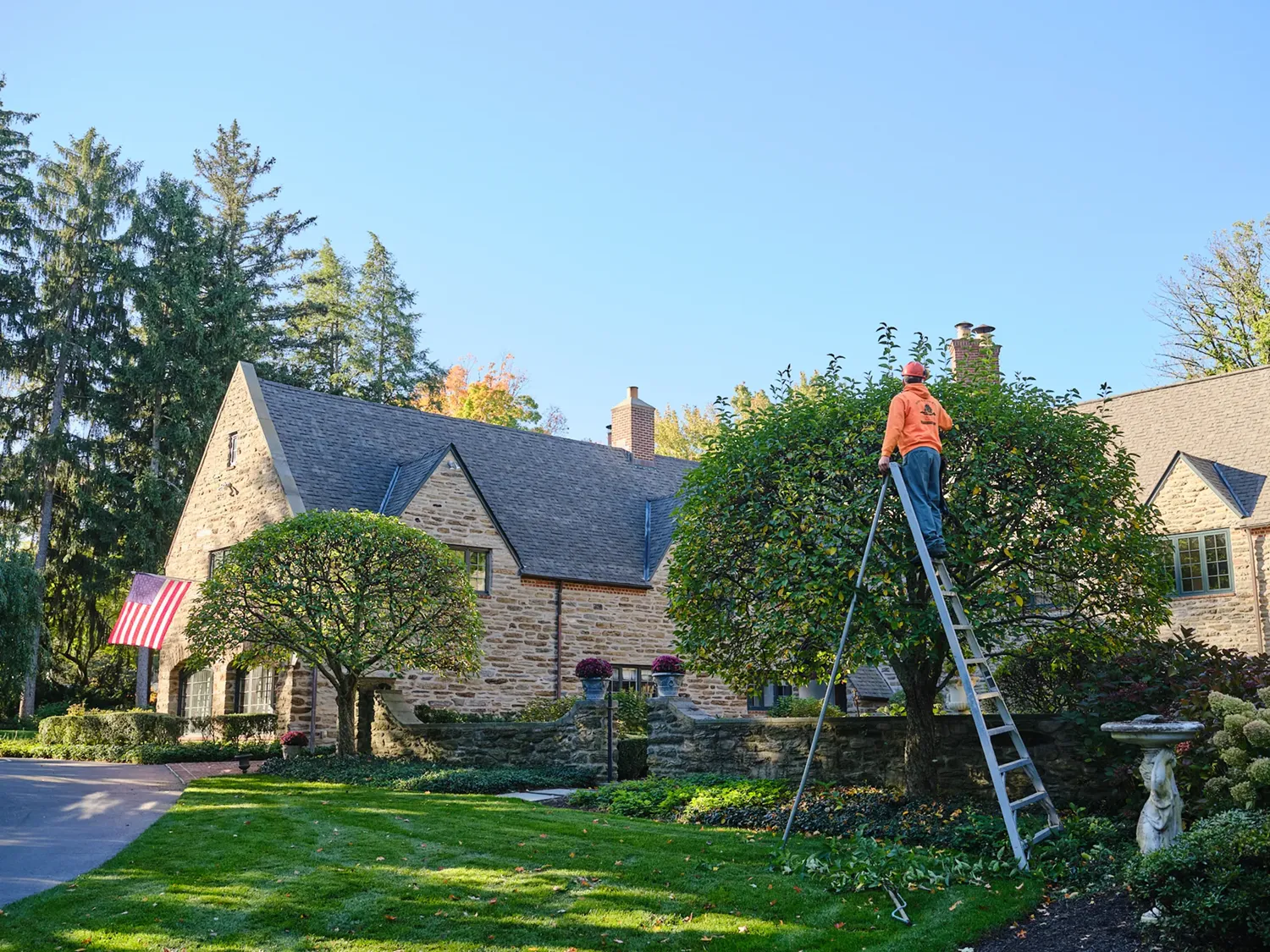Ornamental Pruning — John B. Ward & Co.